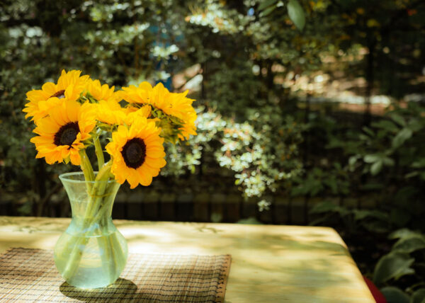 photo of a vase of sunflowers on a table dappled with sunlight